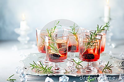 Winter berry cocktails Stock Photo