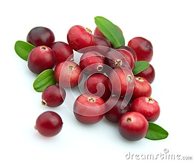 Winter berry.Cranberry Stock Photo