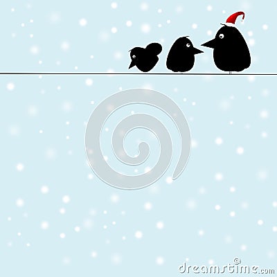 Winter Bird Stock Photo