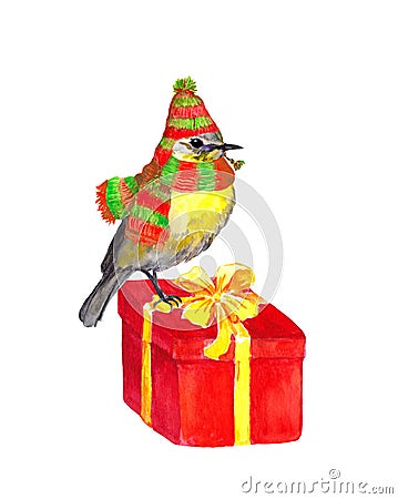 Winter bird - hat, scarf - on new year present. Watercolor Stock Photo