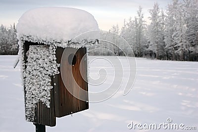 Winter bird house Stock Photo