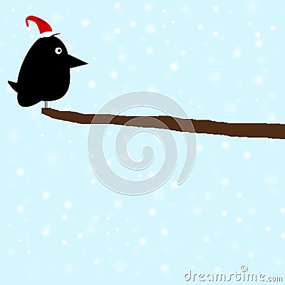 Winter Bird Stock Photo