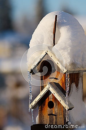 Winter Birdhouse Stock Photo