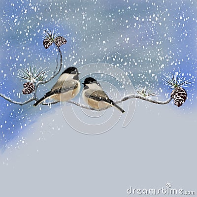 Winter Birds, Black Capped Chickadee, Illustration Stock Photo