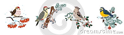 Winter birds on branches. Cute little birds on different trees sprigs, tit and woodpecker, sparrow and bullfinch sit on barely and Vector Illustration