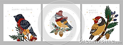 Winter birds on branches. Little bullfinch, tit and goldfinch in snow covered fir twigs. Holiday compositions. Christmas Vector Illustration