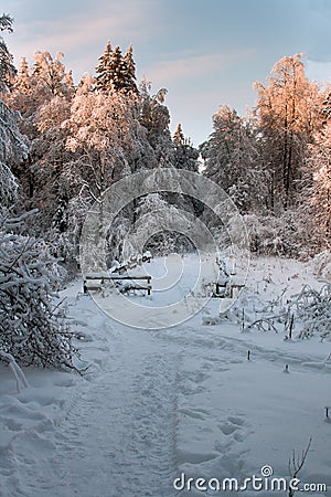 Winter bridge Stock Photo