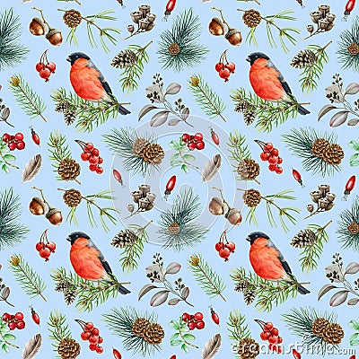 Winter bullfinch bird seamless pattern. Watercolor illustration. Hand drawn bullfinch bird, fir tree branch, cone, red Cartoon Illustration