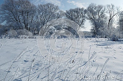 Winter calm frozen landscape with beautiful frosted trees Stock Photo