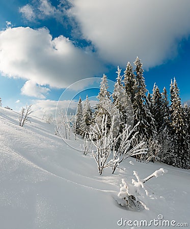 Winter calm mountain landscape with beautiful frosting trees and snowdrifts on slope Carpathian Mountains, Ukraine. Composite Stock Photo