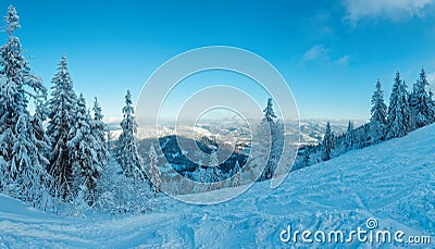 Winter Carpathian Mountains panorama. Stock Photo