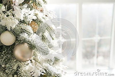 Winter celebration background, christmas tree near window at home. copy space Stock Photo