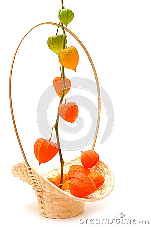 Winter cherry in basket Stock Photo