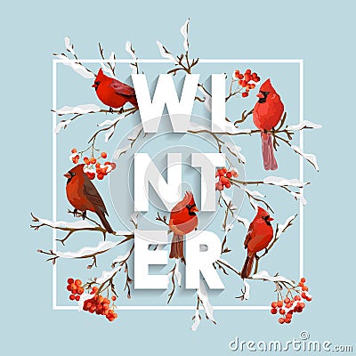 Winter Christmas Design in Vector. Winter Birds with Rowan Berries Vector Illustration