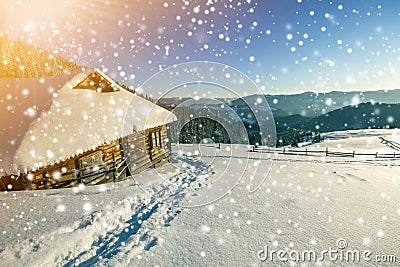 Winter Christmas landscape. Human footprint path in white deep snow at small wooden shepherd hut, spruce forest, woody dark Stock Photo