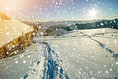 Winter Christmas landscape. Human footprint path in white deep snow at small wooden shepherd hut, spruce forest, woody dark Stock Photo