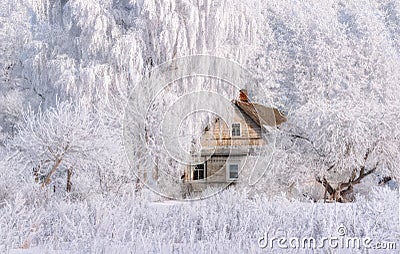 Winter Christmas Landscape In Pink Tones With Old Fairy Tale House, Surrounded By Trees In Hoarfrost. Rural Landscape With Scenic Stock Photo