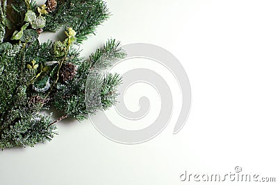 Winter, Christmas and New Year template. Decorative green frosty pine branch with cones. Stock Photo