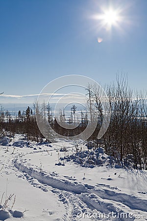 Winter Christmas post card view Stock Photo