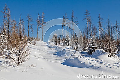 Winter Christmas post card view - snow Stock Photo