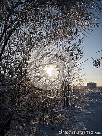 In winter, the city Park, trees and shrubs are buried in snow at sunset on a clear frosty day. The branches of the trees bend Stock Photo