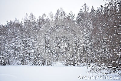 When winter comes, nature understands that it is time to relax Stock Photo