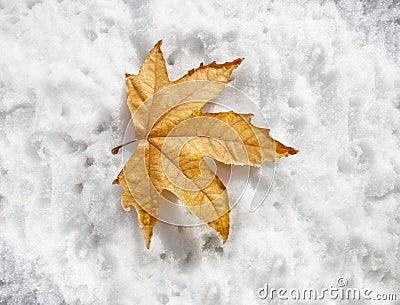 Winter coming Stock Photo