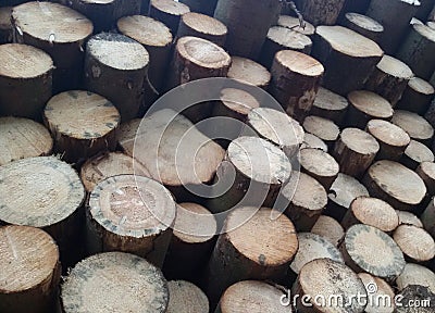 Winter is coming! Stack of firewood for the winter. Getting ready for a cold winter time. Stock Photo