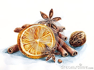 Winter composition of orange and spices Stock Photo