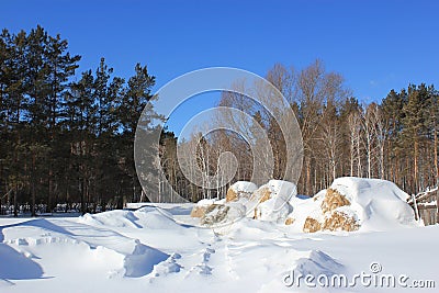 Winter countryside landscape. Stock Photo
