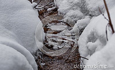 Winter creek with pieces of ice in the forest Stock Photo
