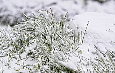 Beauty of Winter Stock Photo