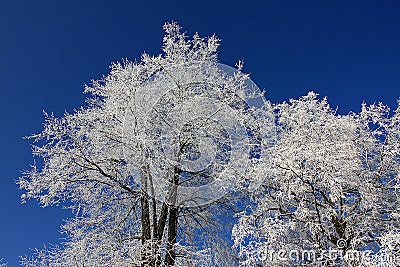 Winter day Stock Photo