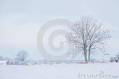 Winter has shortest days, longest nights and lowest temperatures than all other seasons . Stock Photo