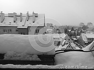 Winter day in Poland. Artistic look in black and white. Stock Photo
