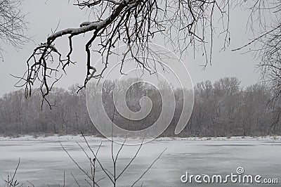 Winter day. River frozen - covered with ice and naked trees covered with white snow on there branches. Walking on nature Stock Photo