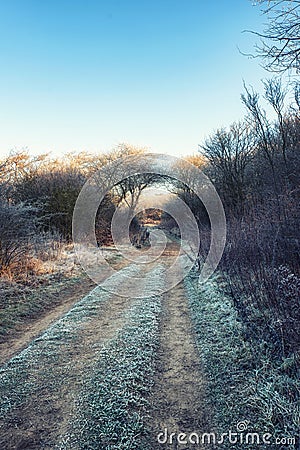 Winter Dirt Road Stock Photo