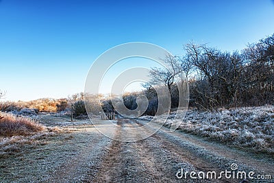 Winter Dirt Road Stock Photo