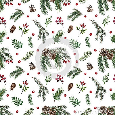 Winter evergreen plants and berries seamless pattern. Watercolor forest greenery on white background. Cartoon Illustration