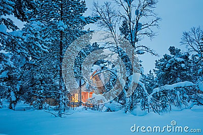 Winter fairy night - wooden house in blue snowy forest Stock Photo