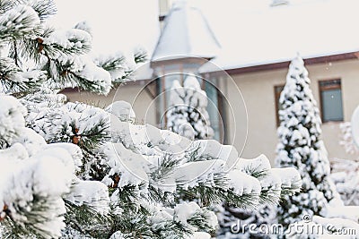 Winter fairy story. Snow-covered pine on background of castle Stock Photo