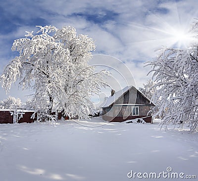 Winter fairytale, heavy snowfall Stock Photo