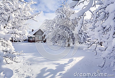 Winter fairytale, heavy snowfall Stock Photo