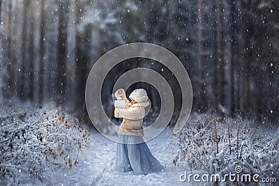 Winter fairytale Stock Photo