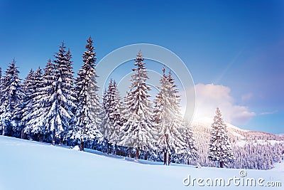 Winter Stock Photo