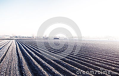 Winter farm field ready for new planting season. Agriculture and agribusiness. Choosing right time for sow fields plant seeds, Stock Photo