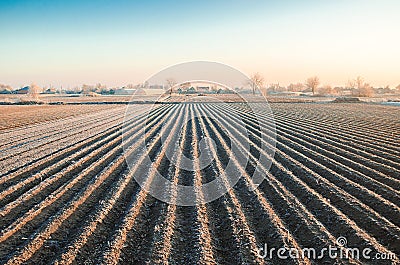 Winter farming field ready for new planting season. Spring sowing campaign. Agriculture and agribusiness. Protection from spring Stock Photo