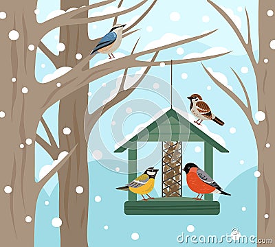 Winter feeder. Snow woodland, birds food on tree poster. Feeding wild animals on nature, flat bullfinch chickadee robin Vector Illustration