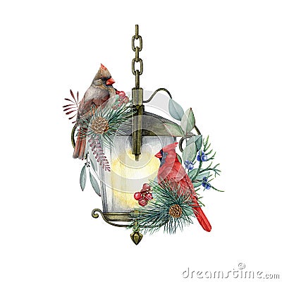 Winter festive cozy decoration. Red cardinal bird couple on a vintage style lantern. Watercolor painted illustration Cartoon Illustration