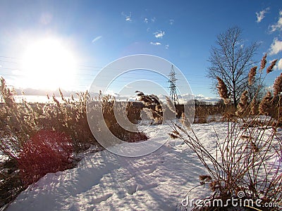 Winter field quiet, windless Sunny day Stock Photo